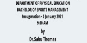 Bachelor Sports Management